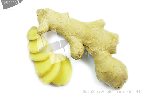 Image of Fresh ginger isolate