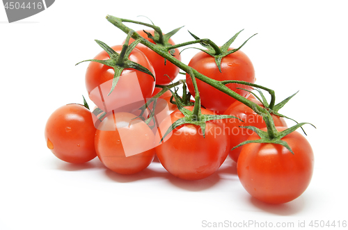 Image of Red cherry tomato