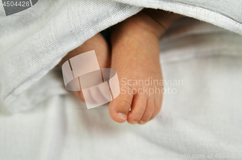 Image of Cute baby feet