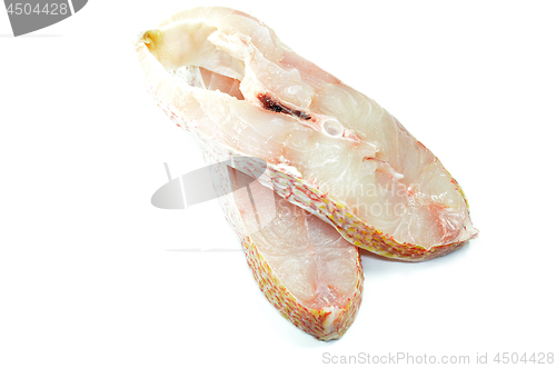 Image of Red snapper fish fillet