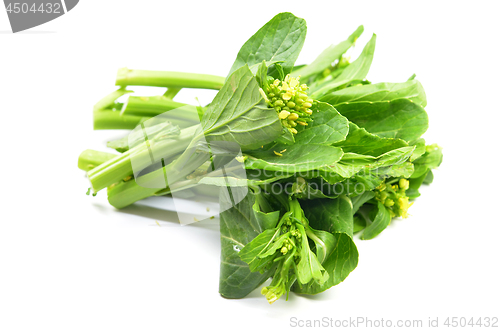 Image of Bunch of floral choy sum green vegetable