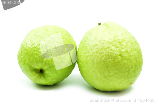 Image of Green guava isolated