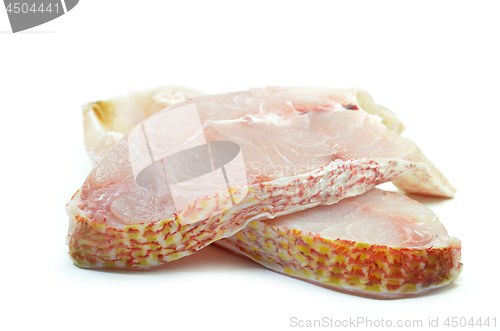 Image of Red snapper fish fillet