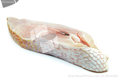 Image of Red snapper fish fillet