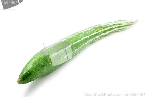 Image of Snake gourd isolated 