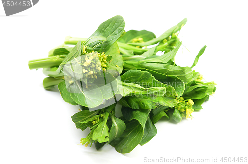 Image of Bunch of floral choy sum green vegetable