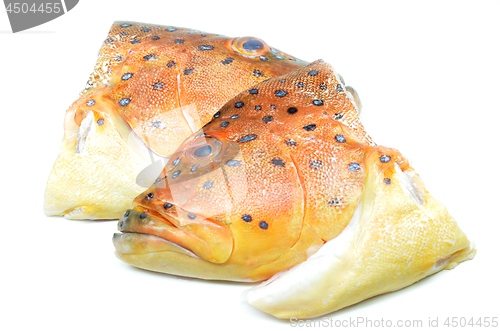 Image of Grouper fish head on white background