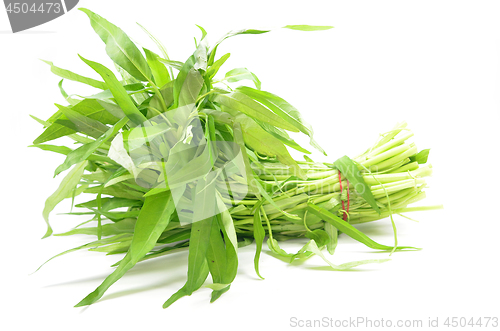 Image of Water spinach or morning glory