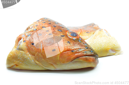 Image of Grouper fish head on white background