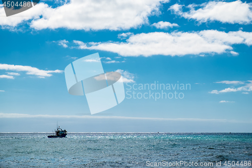 Image of Beach Fuerteventura