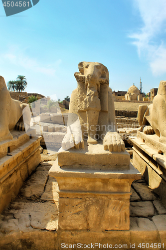 Image of Ram Headed Sphinx front view, Karnak Temple, Luxor, Egypt