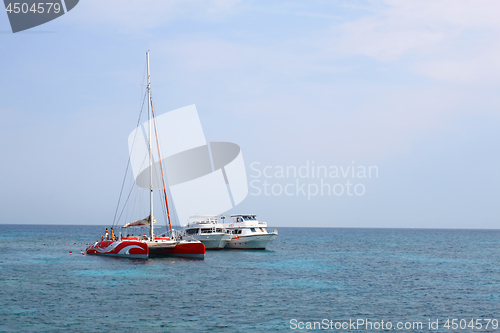 Image of White boats, catamaran and floating people in the Red sea, Egypt