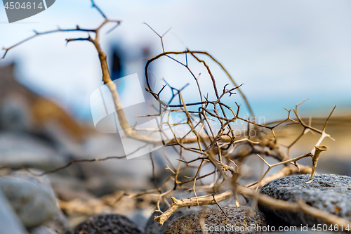 Image of Beach Fuerteventura