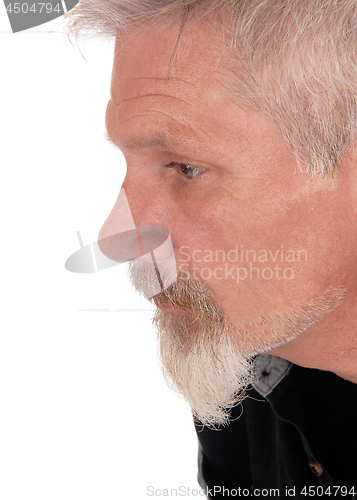 Image of Close up portrait of a gray haired man