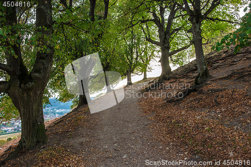 Image of Path to the top of Ipf