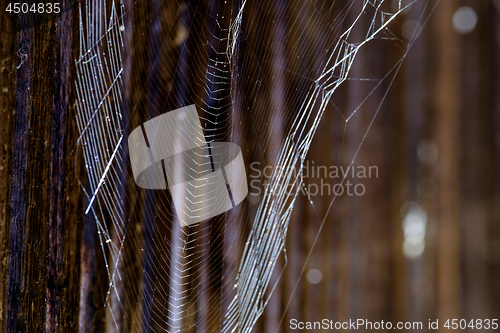 Image of Spiderweb in defensive corridor in Noerdlingen