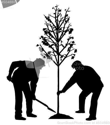 Image of Two men planting a tree