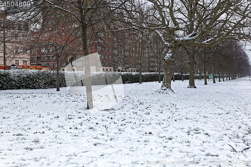 Image of Snow Hyde Park