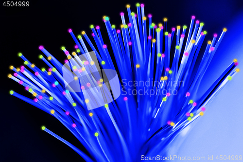 Image of Fiber optical network cable close up