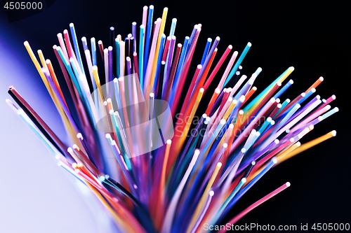 Image of Fiber optical network cable close up