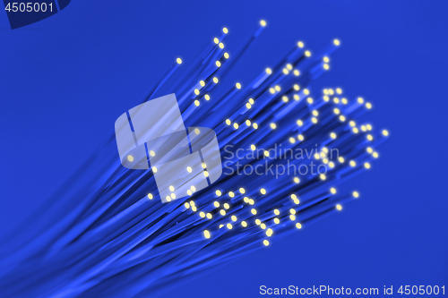 Image of Fiber optical network cable close up