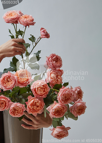 Image of Happy girl florist holding a pot with gentle pink roses on a gray background