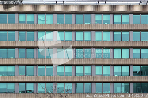Image of Green Windows