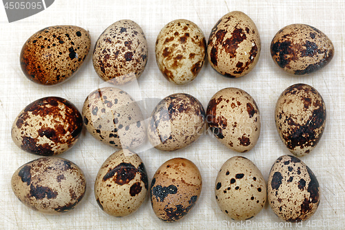 Image of Organic Quail Eggs