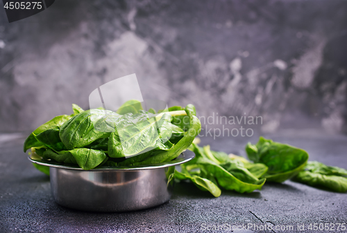 Image of spinach