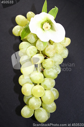 Image of Green grapes on black