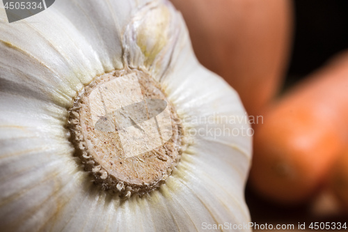 Image of closeup of fresh garlic