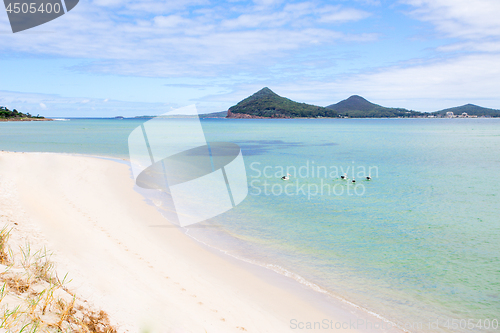 Image of Pelicans swimming at Port Stephens scenic landscape