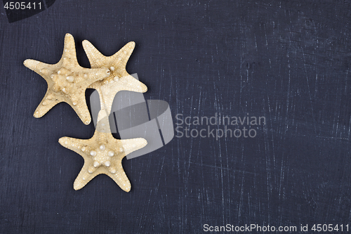 Image of Top view of three starfish on black background.