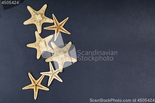 Image of Top view of five starfish on black background.