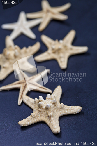 Image of Starfish closeup on deep blue.