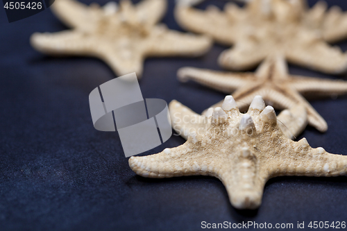 Image of Starfish closeup on deep blue.