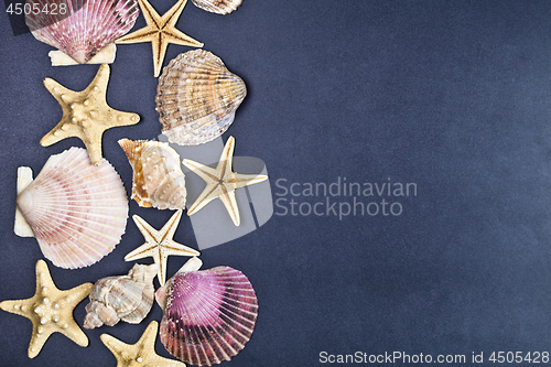 Image of Top view of shells and starfish group on black background. 