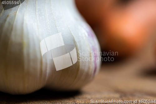 Image of Closeup of fresh garlic