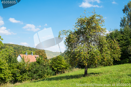 Image of Romantic landscape Koenigsbronn