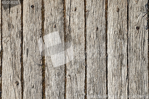 Image of Wooden Lumber Surface