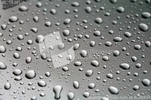 Image of Shiny Water Droplets