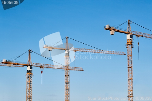 Image of Tall Construction Cranes