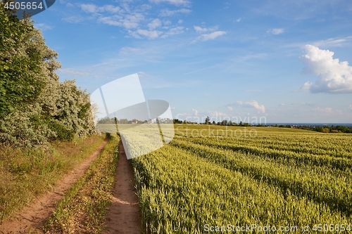 Image of Green Field with Trees