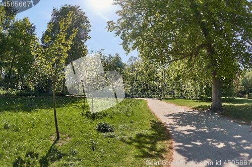 Image of Park with line of trees