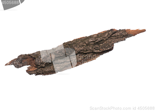 Image of Tree bark on white