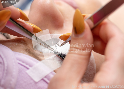 Image of Eyelash extension in Beauty salon