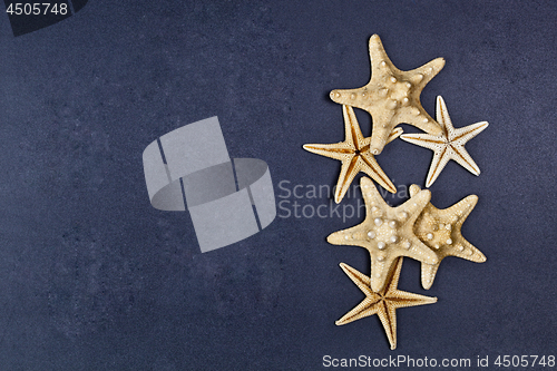 Image of Top view of five starfish on black background.