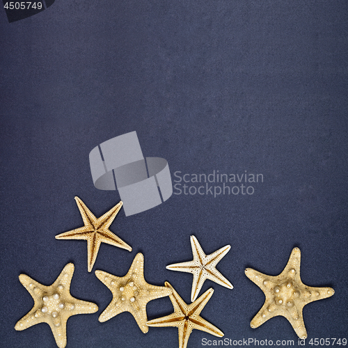Image of Top view of six starfish on black background.