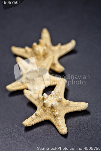 Image of Three starfish on black background.