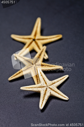 Image of Three starfish on black background.